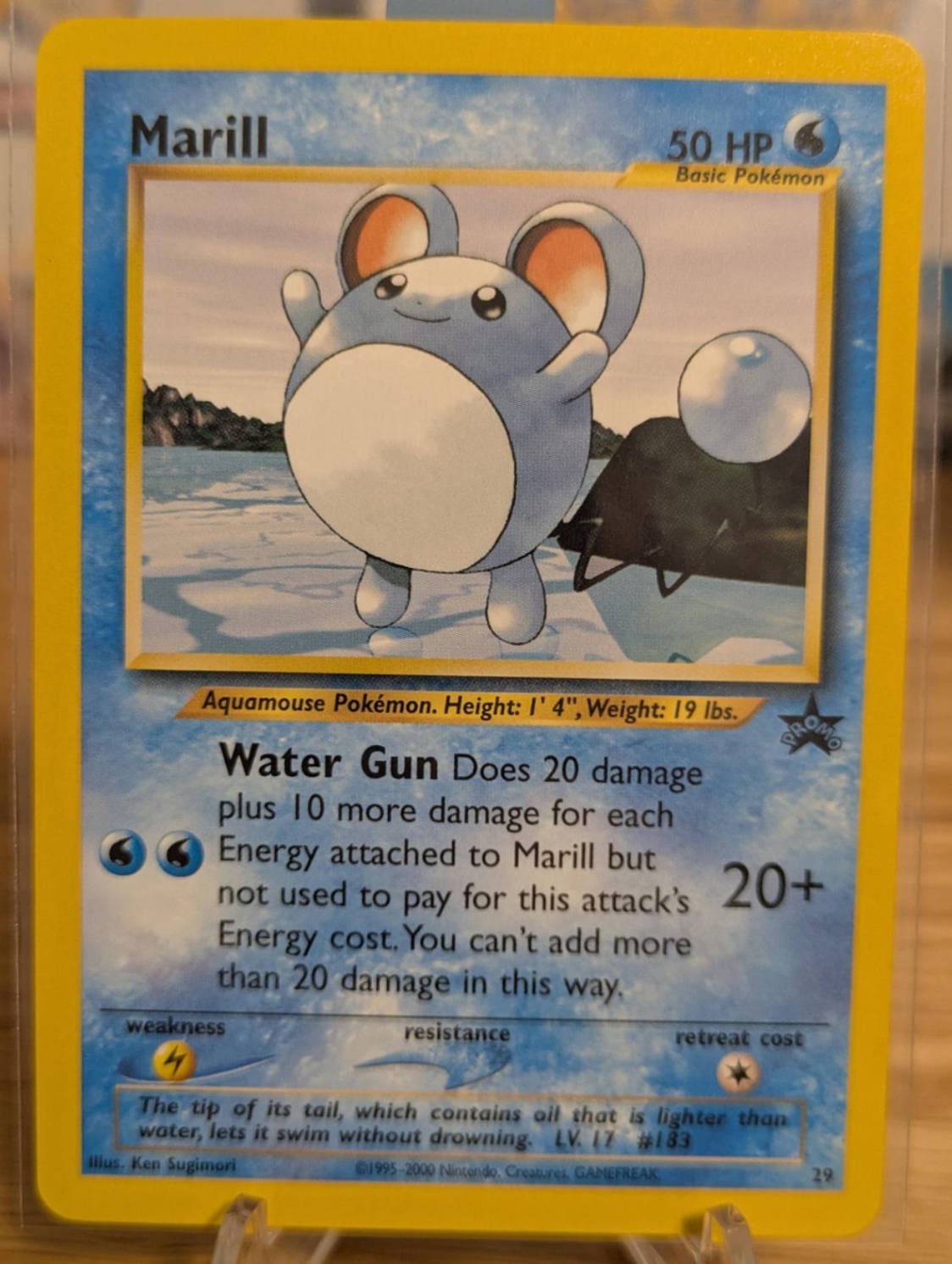 2000 Marill Standard 29/111 Uncommon