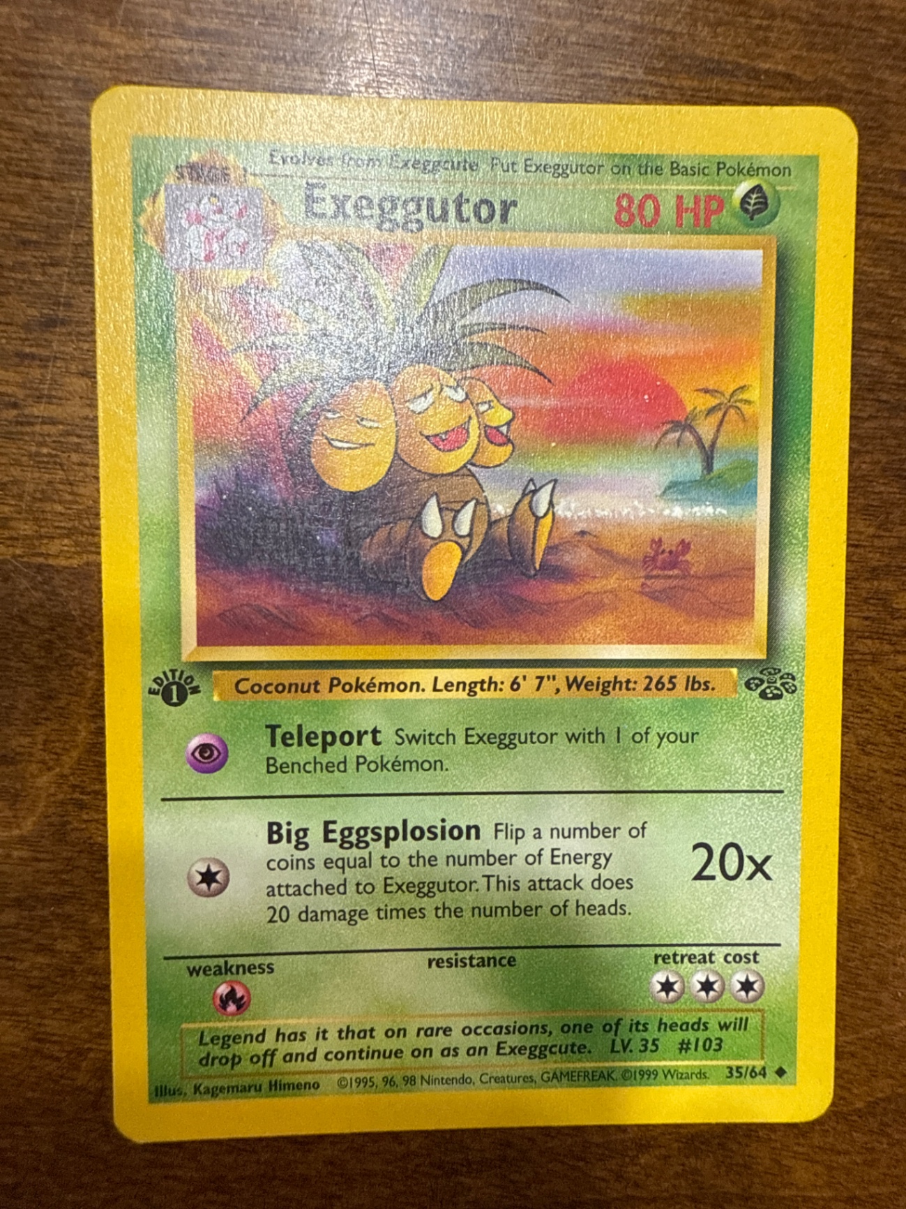 A Collector&#39;s Guide to the Jungle Set